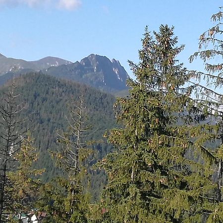 Apartament z kogutem Zakopane Buitenkant foto