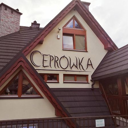 Apartament z kogutem Zakopane Buitenkant foto