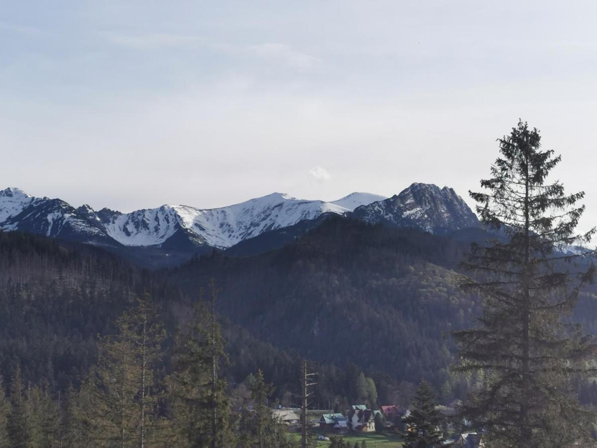 Apartament z kogutem Zakopane Buitenkant foto