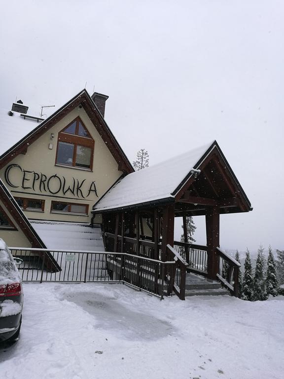 Apartament z kogutem Zakopane Buitenkant foto