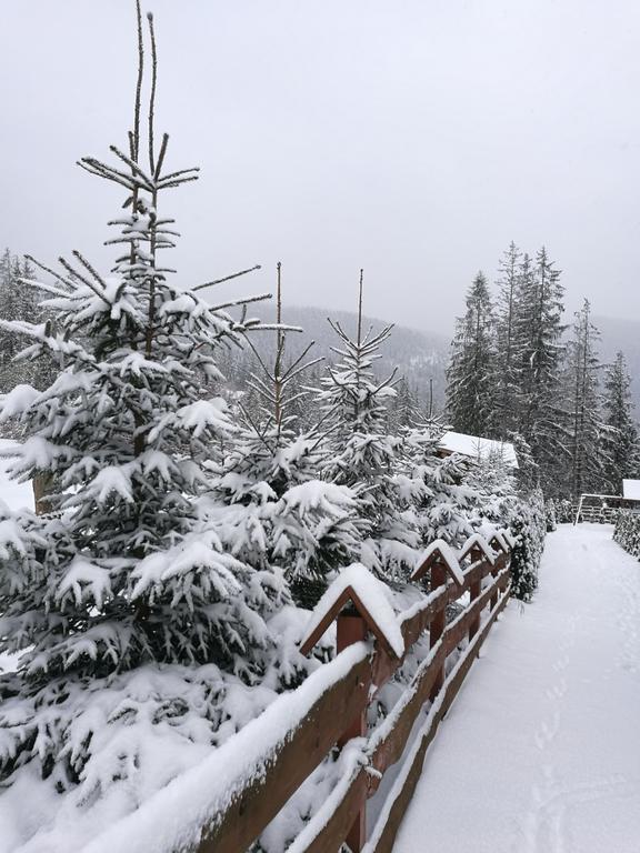 Apartament z kogutem Zakopane Buitenkant foto